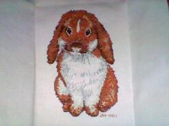 Cross stitch square for Evie P's quilt