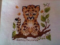 Cross stitch square for Alex F's quilt