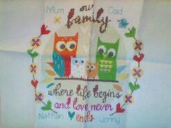 Cross stitch square for Nathan W's quilt