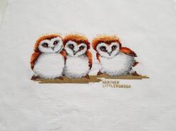 Cross stitch square for Nathan W's quilt