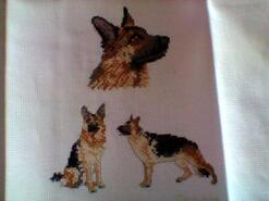 Cross stitch square for Mason B's quilt