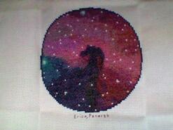 Cross stitch square for Leo S's quilt