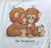 Cross stitch square for Luke H's quilt