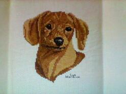 Cross stitch square for Connor C's quilt