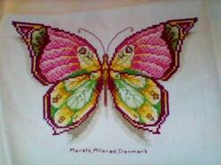Cross stitch square for Amina M's quilt