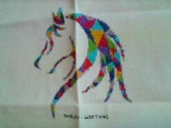 Cross stitch square for Emily S's quilt