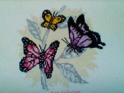 Cross stitch square for Elsie B's quilt