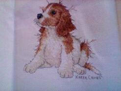 Cross stitch square for Isla L's quilt