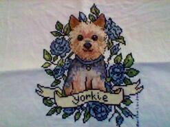 Cross stitch square for Isla L's quilt