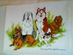Cross stitch square for Isla L's quilt