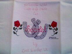 Cross stitch square for Scarlet W's quilt