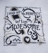 Cross stitch square for Charlie B's quilt
