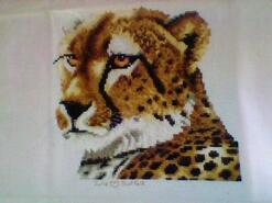 Cross stitch square for Eden B's quilt