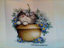 Cross stitch square for Molly B's quilt