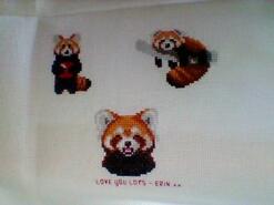 Cross stitch square for Riley S's quilt