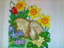 Cross stitch square for Riley S's quilt