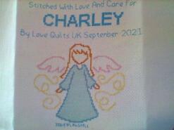 Cross stitch square for Charley M's quilt