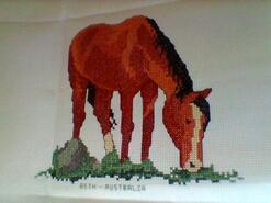 Cross stitch square for Annabelle W's quilt