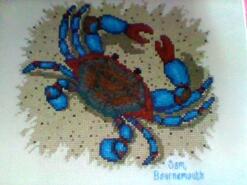 Cross stitch square for Phoenix R's quilt