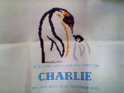 Cross stitch square for Charlie J's quilt