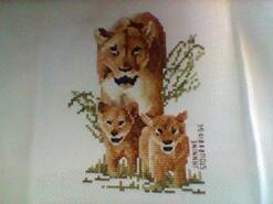 Cross stitch square for Charlie J's quilt