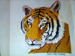 Cross stitch square for Charlie J's quilt