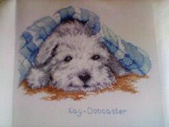 Cross stitch square for Saoirse's quilt