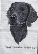Cross stitch square for Emily Jo's quilt