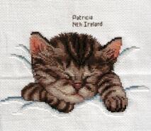 Cross stitch square for Emily Jo's quilt