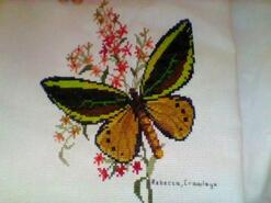 Cross stitch square for Katie R's quilt