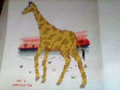 Cross stitch square for Emilio B's quilt