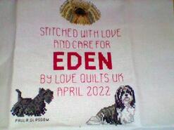 Cross stitch square for Eden's quilt