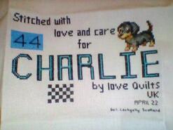 Cross stitch square for Charlie's quilt
