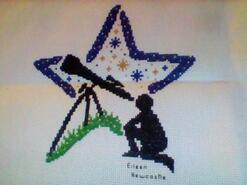 Cross stitch square for Phoenix G's quilt