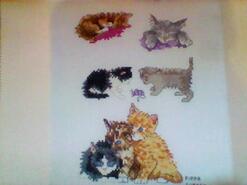 Cross stitch square for Evie E's quilt