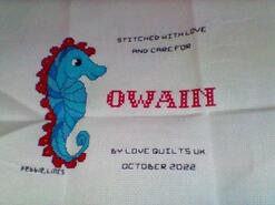 Cross stitch square for Owain R's quilt