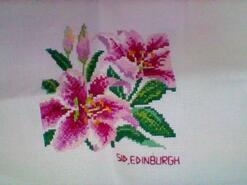 Cross stitch square for Lillie D's quilt