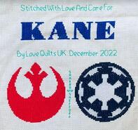 Cross stitch square for Kane R's quilt