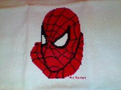 Cross stitch square for Charlie F's quilt