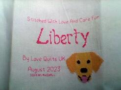 Cross stitch square for Liberty P's quilt