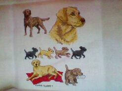 Cross stitch square for Liberty P's quilt