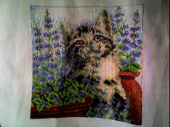 Cross stitch square for Joshua C 's quilt