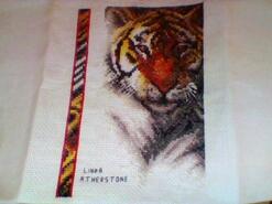 Cross stitch square for Ryan H's quilt