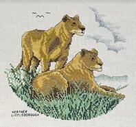 Cross stitch square for Ryan H's quilt