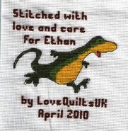 Cross stitch square for Ethan's quilt