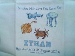 Cross stitch square for Ethan K's quilt
