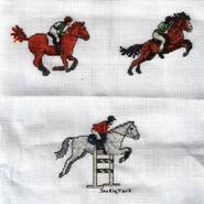 Cross stitch square for Anna-Mae's quilt