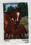 Cross stitch square for Anna-Mae's quilt