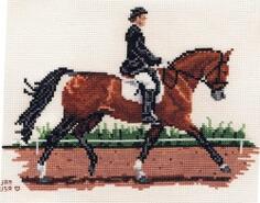 Cross stitch square for Anna-Mae's quilt