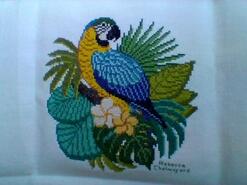 Cross stitch square for Xander B's quilt